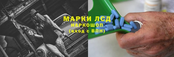 гашик Аркадак