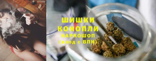 гашик Аркадак