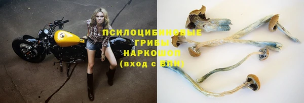 гашик Аркадак
