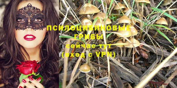 гашик Аркадак