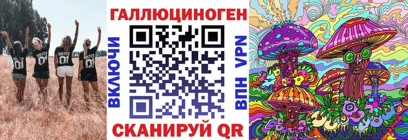 Галлюциногенные грибы Psilocybine cubensis  Судак 